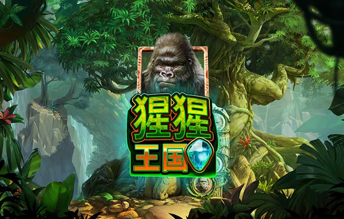 bck体育平台手机APP